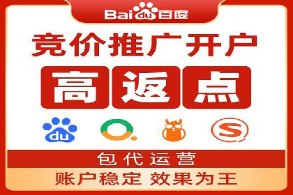 百度竞价账户托管的技巧与策略：从入门到精通的案例解析